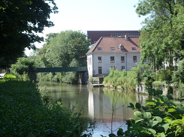 SAMSUNG CAMERA PICTURES