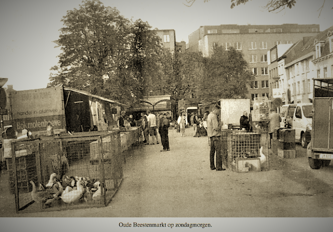 Capture d’écran (1384)