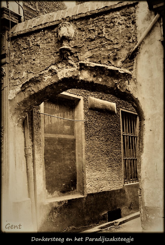 gentdonkeersteegrogercaufrier