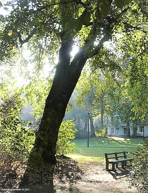 Capture d’écran (3590)