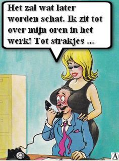 cartoonwerknl (1)